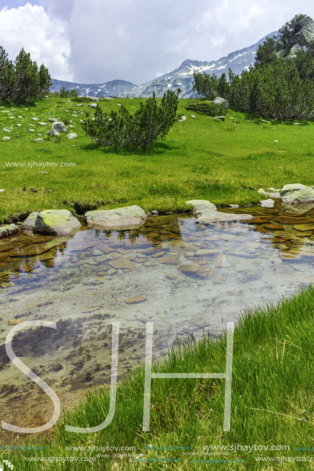 Amazing view of green hills and mountain river in Pirin Mountain, Bulgaria
