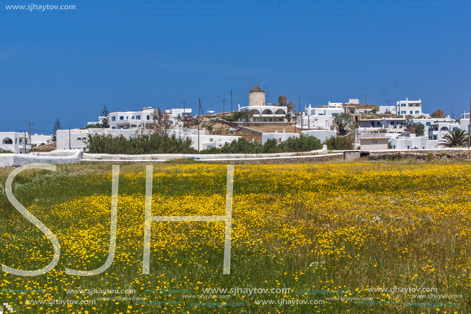 Panoramic view of Town of Ano Mera with spring flowers, island of Mykonos, Cyclades, Greece