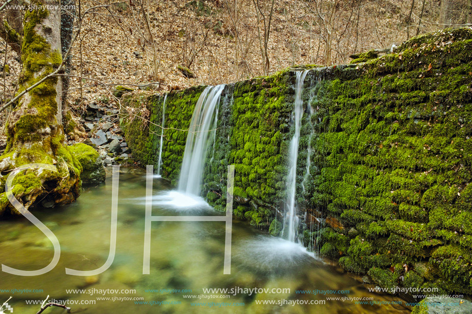 Beautiful waterfall in winter foreston Crazy Mary River, Belasitsa Mountain, Bulgaria