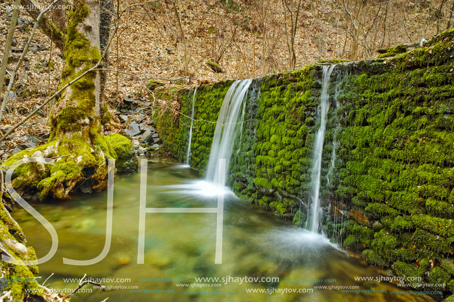 Amazing forest Waterfall and blue water on Crazy Mary River, Belasitsa Mountain, Bulgaria