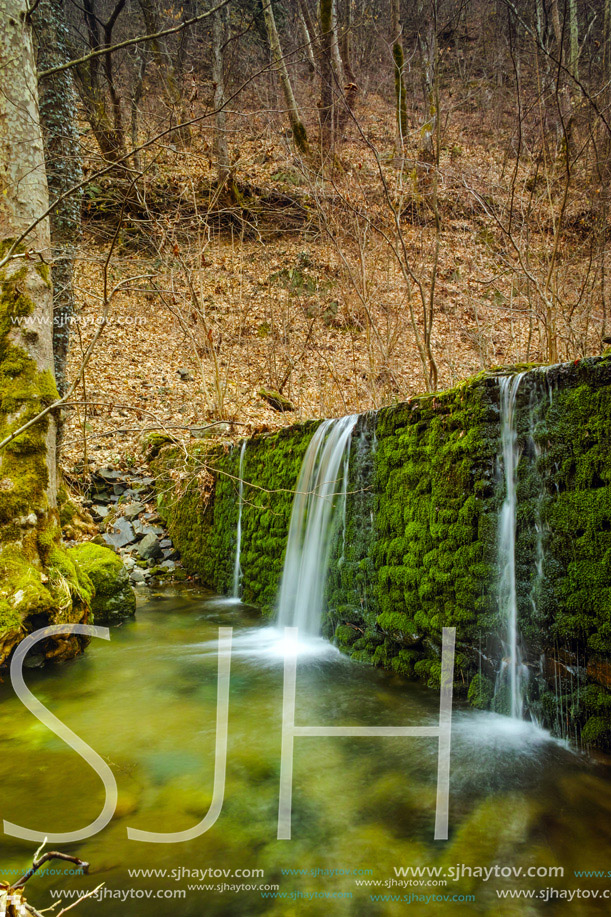 Amazing forest Waterfall on Crazy Mary River, Belasitsa Mountain, Bulgaria