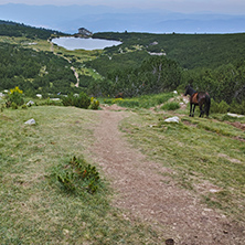 Panoramic view around Popovo lake, Pirin Mountain, Bulgaria