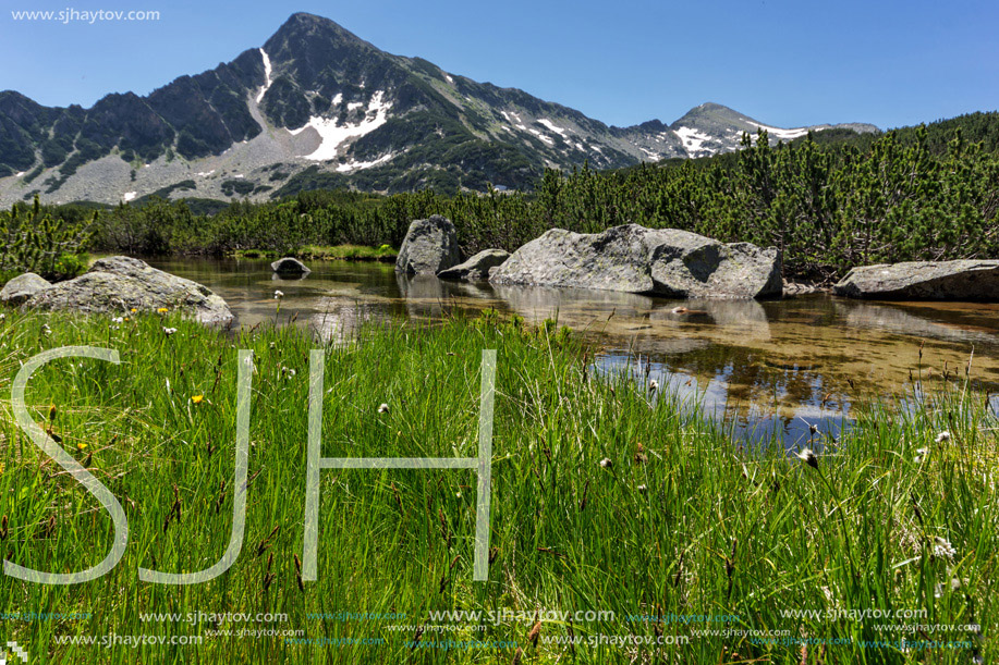 Green grass, Sivrya peak and Banski lakes, Pirin Mountain, Bulgaria