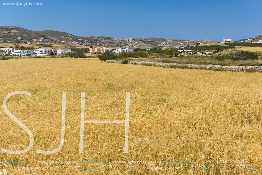 Rural landscape near town of Parikia, Paros island, Cyclades, Greece