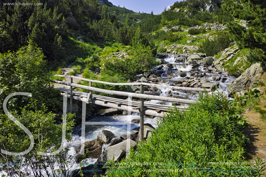 Bridge over small mountain river, Pirin Mountain, Bulgaria