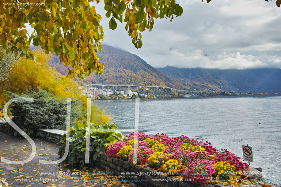 Panoramic view of Lake Geneva and Alps, Montereux, canton of Vaud, Switzerland