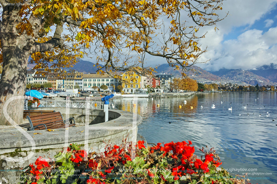 Flowers in embankment of town of Vevey and Lake Geneva, canton of Vaud, Switzerland