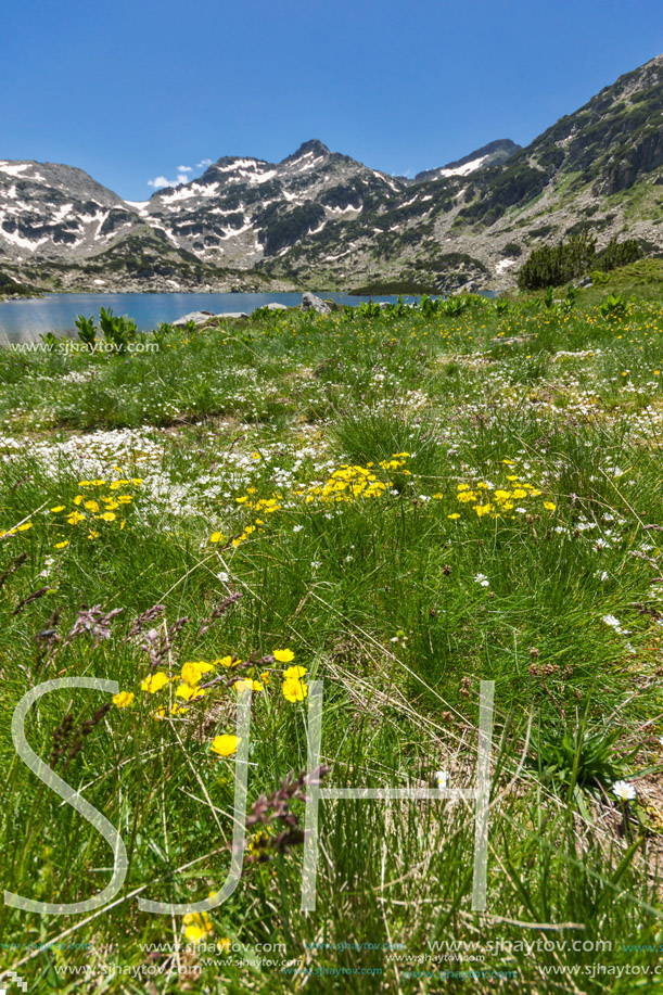 Amazing landscape of Demirkapiyski chuki peak, Popovo lake and yellow flowers in front, Pirin Mountain, Bulgaria