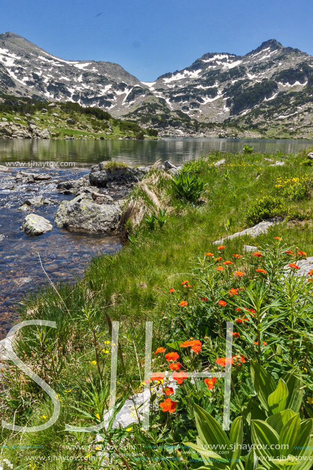Amazing landscape of Demirkapiyski chuki and Dzhano peaks, Popovo lake and red flowers in front, Pirin Mountain, Bulgaria