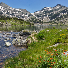 Amazing landscape of Demirkapiyski chuki and Dzhano peaks, Popovo lake and red flowers in front, Pirin Mountain, Bulgaria