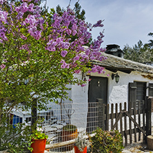 Old stone house and violet flowers in village of Aliki, Thassos island, East Macedonia and Thrace, Greece