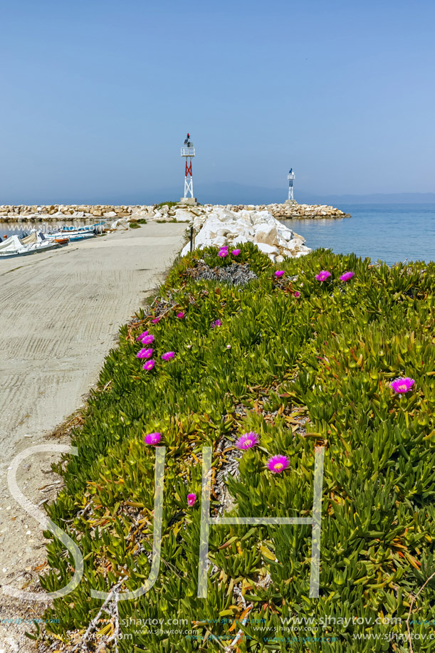Spring flowers and pier in Skala Sotiros, Thassos island, East Macedonia and Thrace, Greece