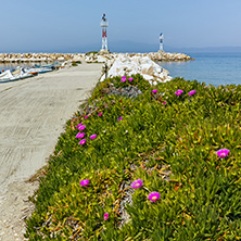 Spring flowers and pier in Skala Sotiros, Thassos island, East Macedonia and Thrace, Greece