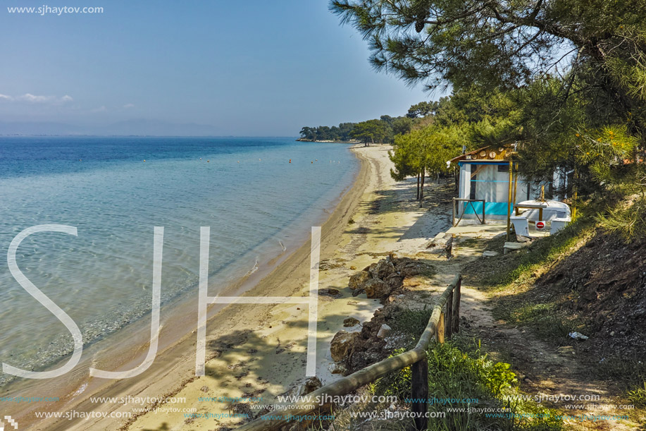 Trees on the beach with blue waters in Thassos island, East Macedonia and Thrace, Greece