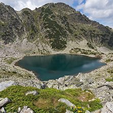 Panoramic view of Musalenski lakes and yellow flores, Rila mountain, Bulgaria