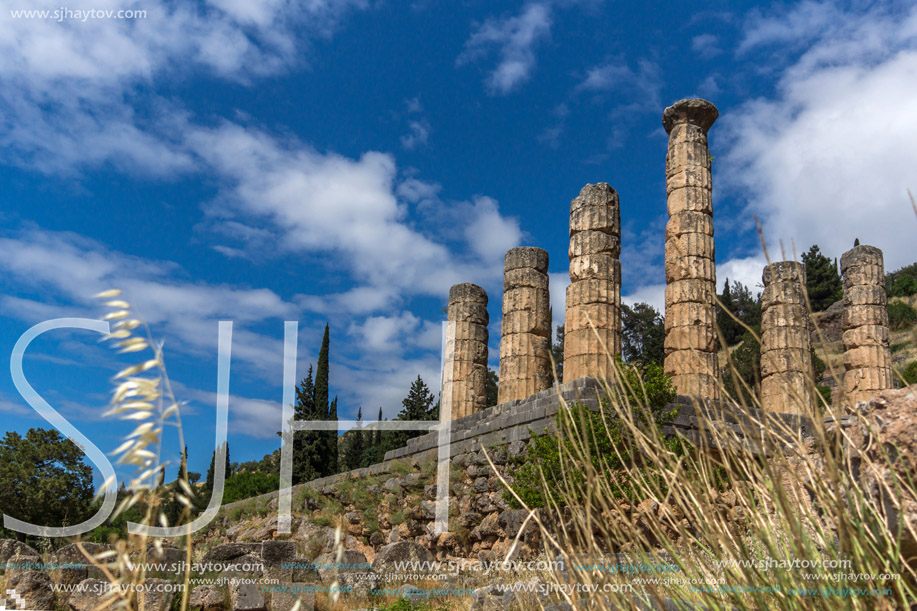 Column in The Temple of Apollo in Ancient Greek archaeological site of Delphi, Central Greece