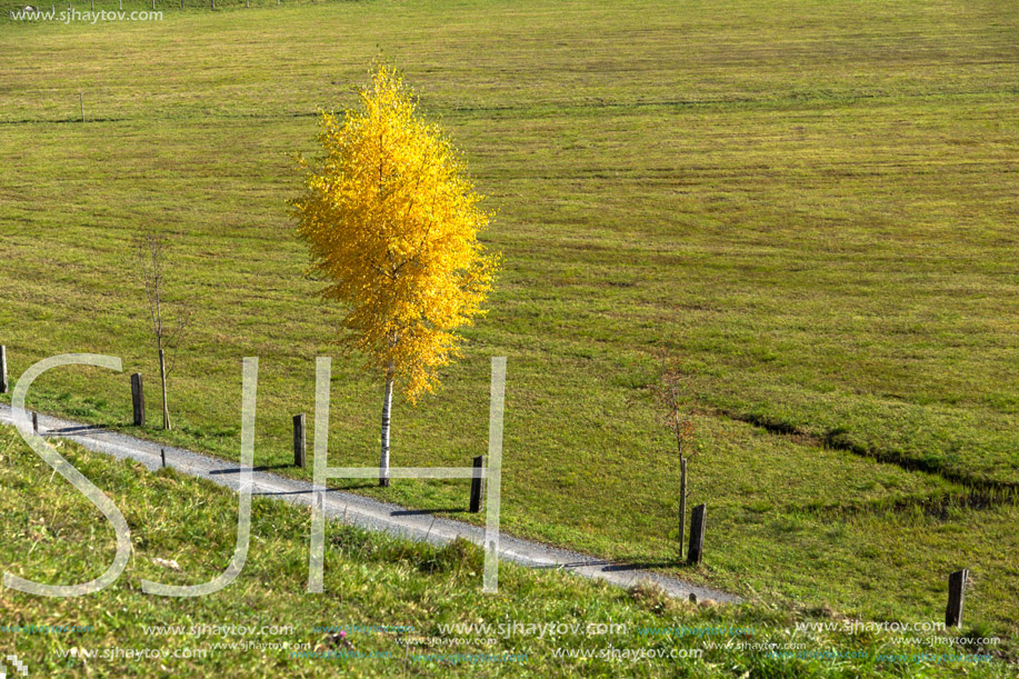 Amazing autumn Panorama near mount Rigi, Alps, Switzerland