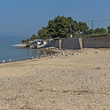 Beach of Skala Kallirachis, Thassos island, East Macedonia and Thrace, Greece