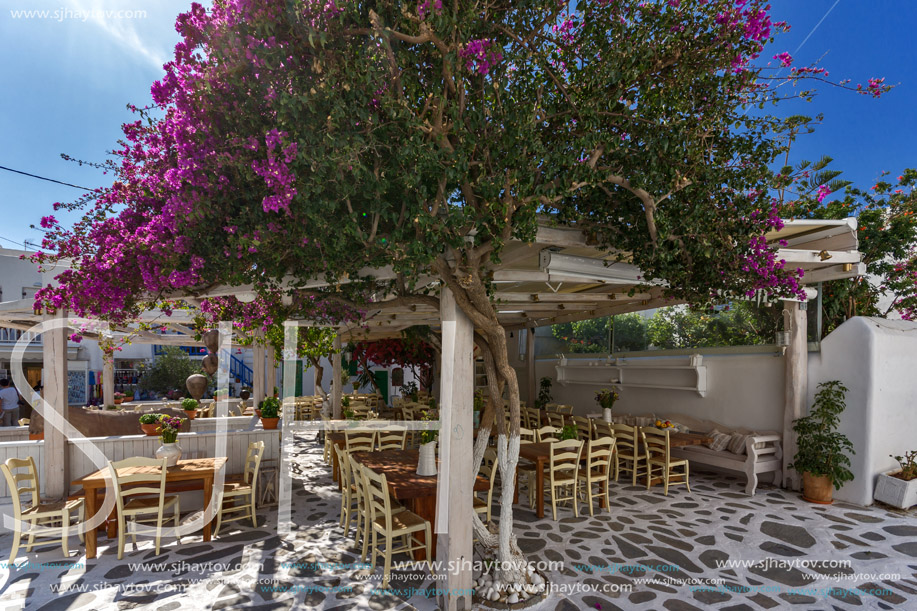 Flowers and white houses in town of Mykonos, Cyclades Islands, Greece