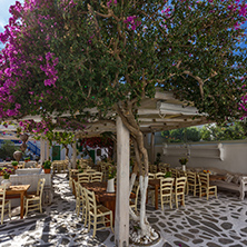 Flowers and white houses in town of Mykonos, Cyclades Islands, Greece