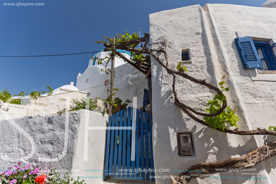 white houses with flowers in town of Parakia, Paros island, Cyclades, Greece