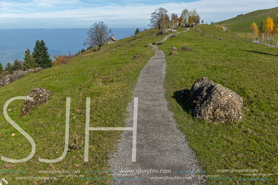 Green meadows above Lake Lucerne, near mount Rigi, Alps, Switzerland