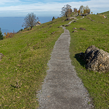 Green meadows above Lake Lucerne, near mount Rigi, Alps, Switzerland