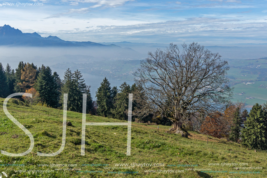 Panoramic view of Lake Lucerne, Alps, Switzerland