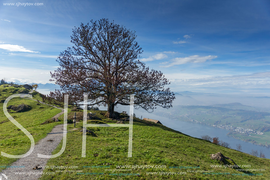 Panoramic view of Lake Lucerne, Alps, Switzerland