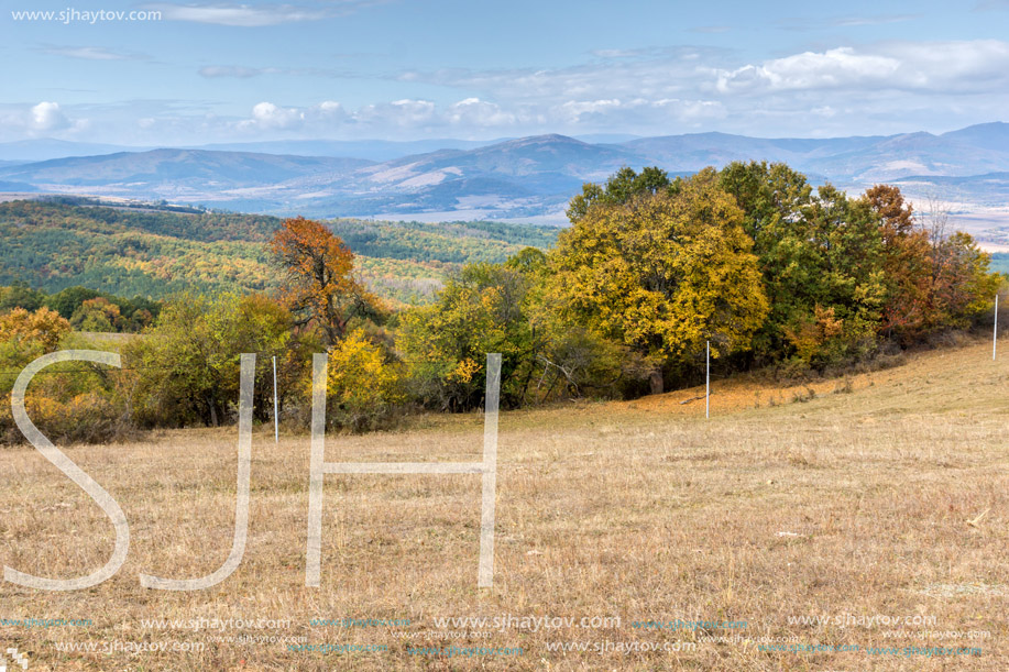 Panorama with yellow trees of Cherna Gora mountain, Pernik Region, Bulgaria