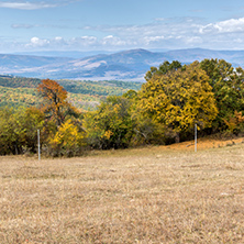 Panorama with yellow trees of Cherna Gora mountain, Pernik Region, Bulgaria