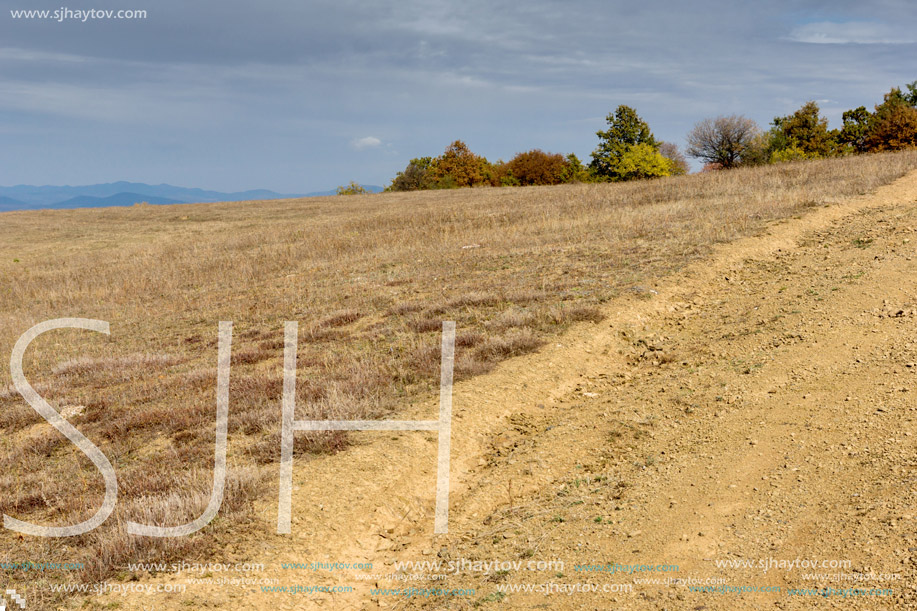 Autumn Panorama with yellow trees of Cherna Gora mountain, Pernik Region, Bulgaria