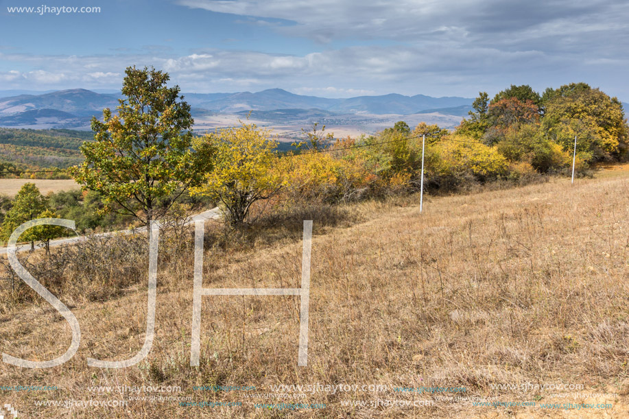 Autumn Landscape with yellow trees of Cherna Gora mountain, Pernik Region, Bulgaria