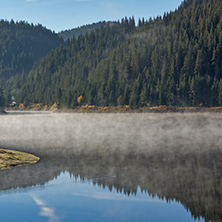 Reflection of green forest in  Golyam Beglik Reservoir, Pazardzhik Region, Bulgaria