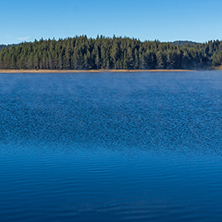 Green forest of Golyam Beglik Reservoir, Pazardzhik Region, Bulgaria