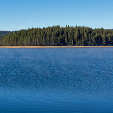 Amazing landscape of Green forest of Golyam Beglik Reservoir, Pazardzhik Region, Bulgaria