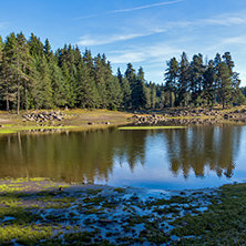 Landscape of Green forest of Shiroka polyana Reservoir, Pazardzhik Region, Bulgaria