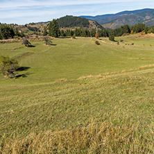 Amazing autumn view near village of Gela, Rhodope Mountains, Bulgaria