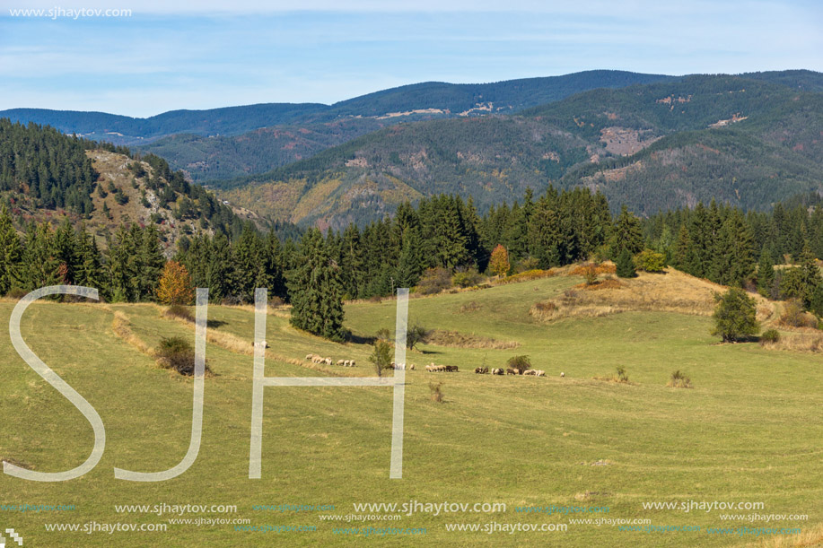 Amazing autumn panorama near village of Gela, Smolyan Region, Bulgaria