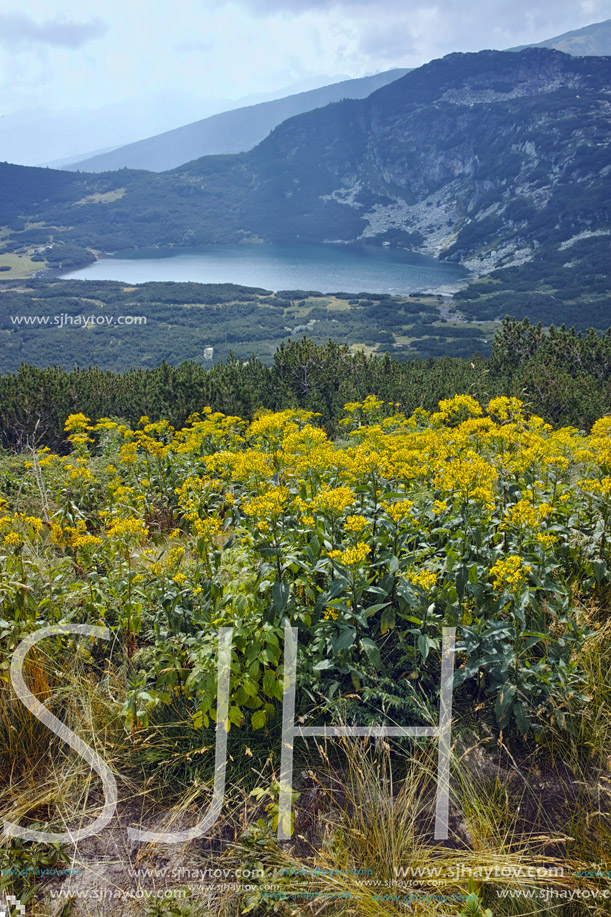 Panoramic view of The Lower Lake, Rila Mountain, The Seven Rila Lakes, Bulgaria