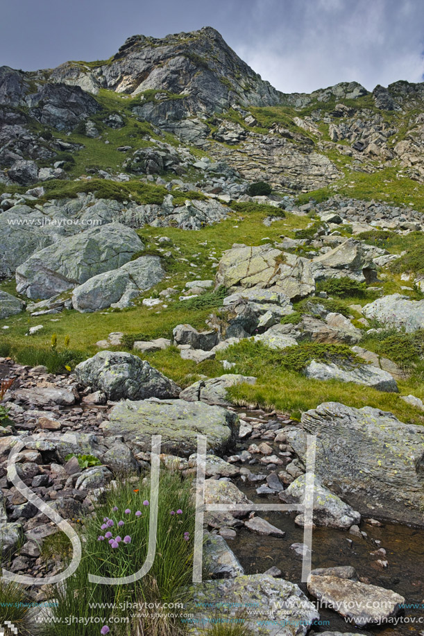 Mountain river near The Seven Rila Lakes, Rila Mountain, Bulgaria