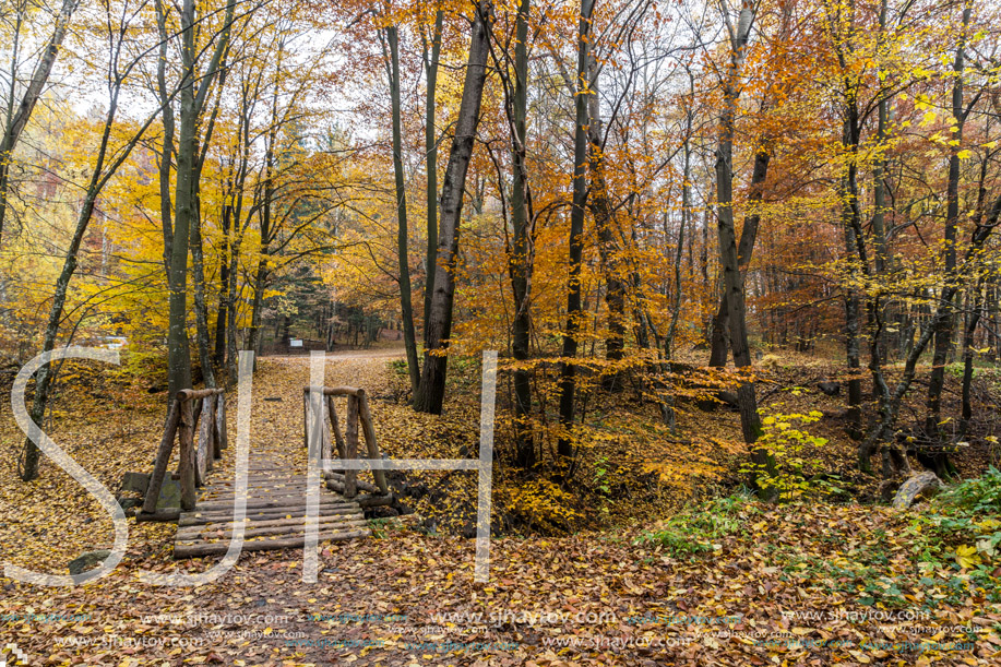 Amazing view with wooden Bridge and Autumn trees, Vitosha Mountain, Sofia City Region, Bulgaria