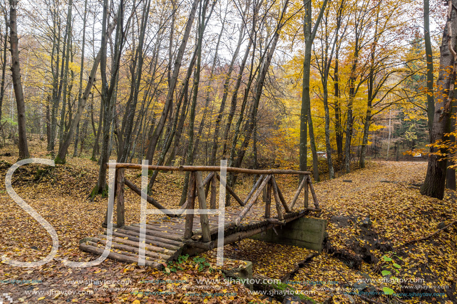 Amazing landscape with wooden Bridge and Autumn trees, Vitosha Mountain, Sofia City Region, Bulgaria