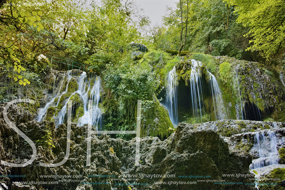 Green forest around Krushuna Waterfalls, Balkan Mountains, Bulgaria