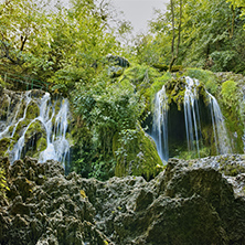 Green forest around Krushuna Waterfalls, Balkan Mountains, Bulgaria