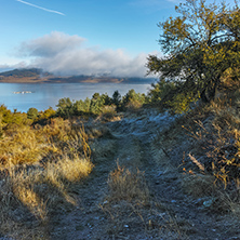 Autumn tree and Low clouds over water of Batak Reservoir, Pazardzhik Region, Bulgaria