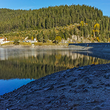 Green forest of Golyam Beglik Reservoir, Pazardzhik Region, Bulgaria