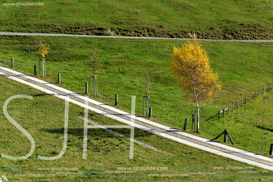 Yellow trees in autumn landscape under mount Rigi, Alps, Switzerland