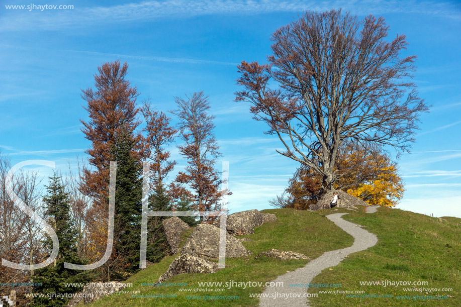 Amazing autumn Landscape near mount Rigi, Alps, Switzerland