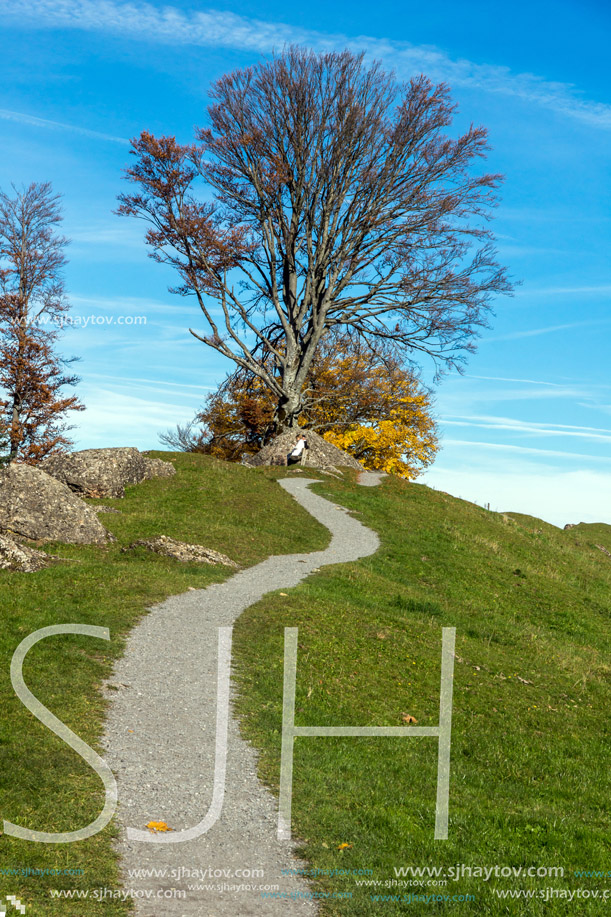 Amazing autumn view near mount Rigi, Alps, Switzerland